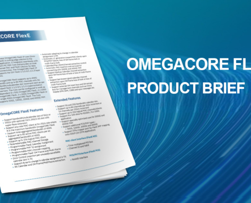 OmegaCORE FlexE Product Brief